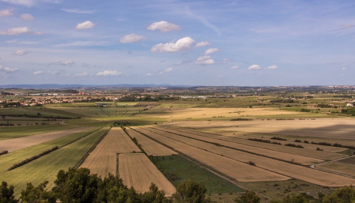 Oppidum d'Ensérune